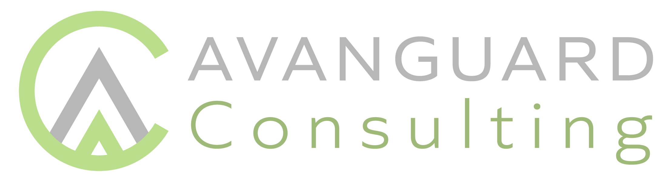 Avantguard Consulting